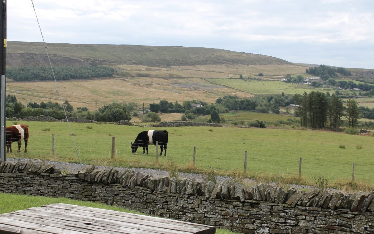 Farm and moorland