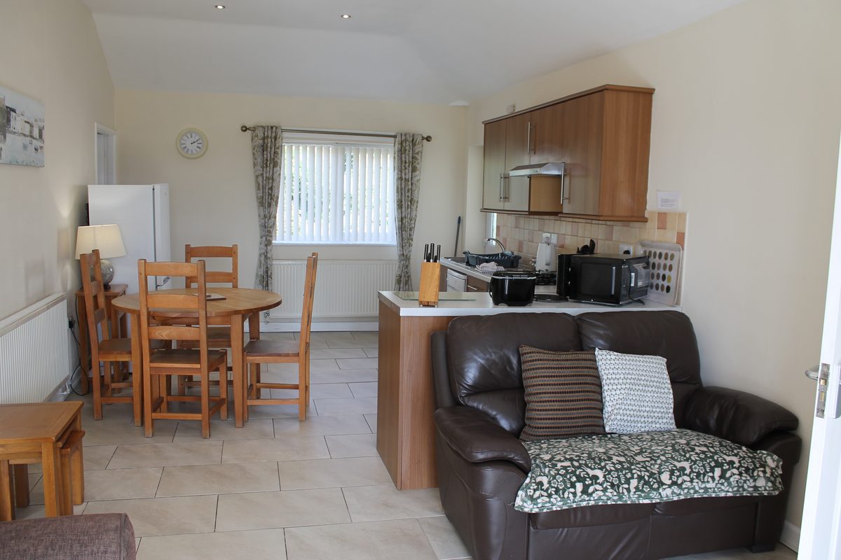 Open-plan kitchen, lounge and diner